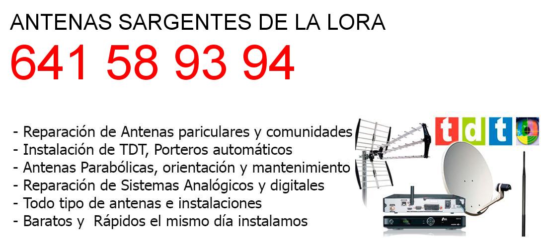 Empresa de Antenas sargentes-de-la-lora y todo Burgos